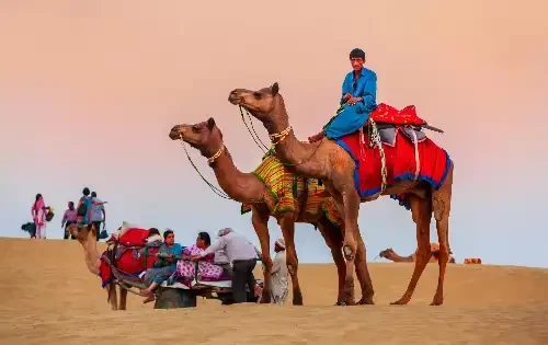 Jaipur Camels Ride
