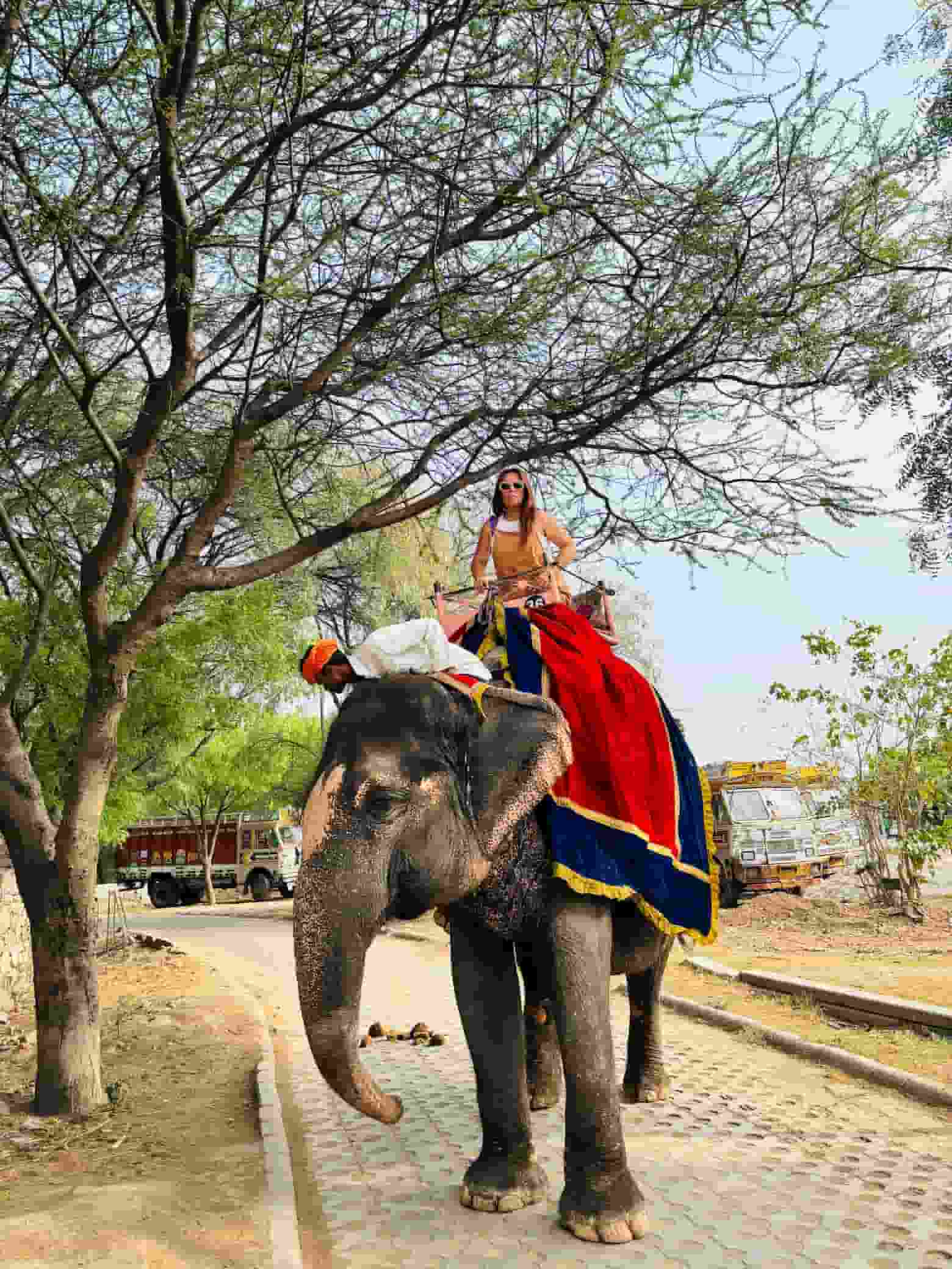 Desde Delhi Tour del Triángulo Dorado con Udaipur 08 días