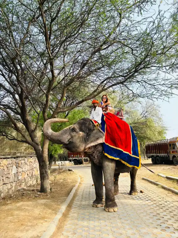 recorrido por el Triángulo Dorado con Jodhpur y Jaisalmer 10 días